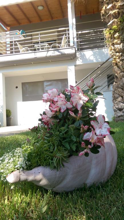 Aimilias Family Apartments Nea Vrasna Bagian luar foto